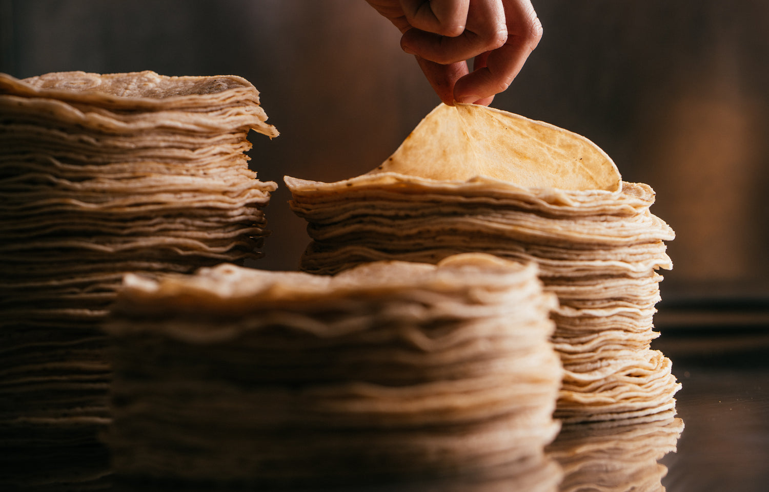 COYOTAS ll Organic Cassava Tortillas ll Grain + Gluten Free